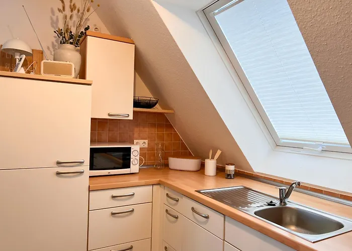 Moewenkieker Daire *