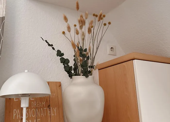 Daire Moewenkieker *